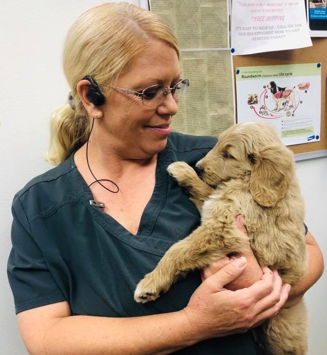 Grooming in Tulsa, OK Appelbaum Animal Clinic